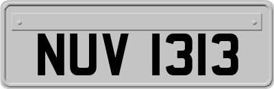NUV1313