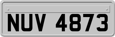 NUV4873