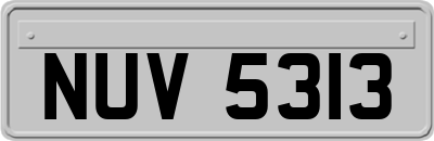 NUV5313