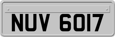 NUV6017