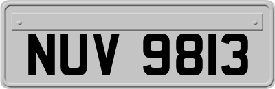 NUV9813