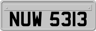NUW5313