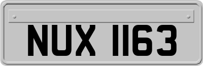 NUX1163