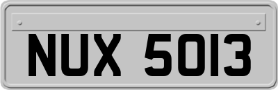NUX5013