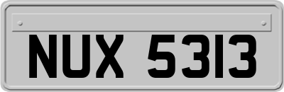NUX5313