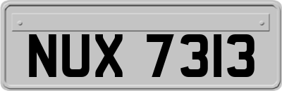 NUX7313