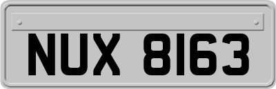 NUX8163