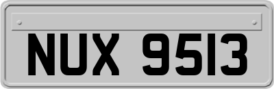 NUX9513