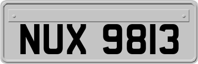 NUX9813