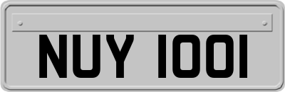 NUY1001
