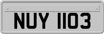 NUY1103