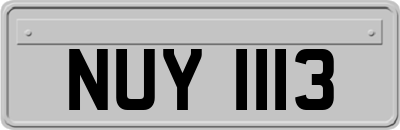 NUY1113