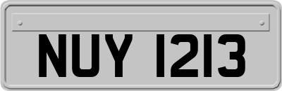 NUY1213