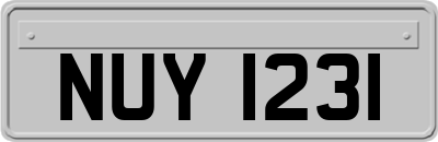 NUY1231