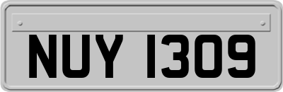 NUY1309