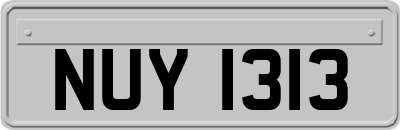 NUY1313