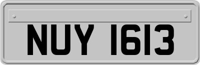 NUY1613