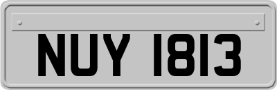 NUY1813