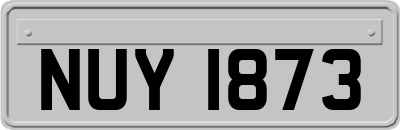 NUY1873