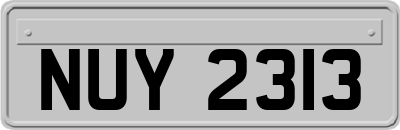 NUY2313