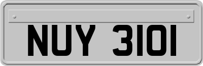NUY3101