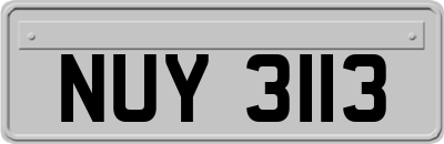 NUY3113