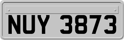 NUY3873