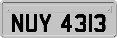 NUY4313