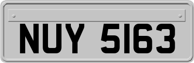 NUY5163
