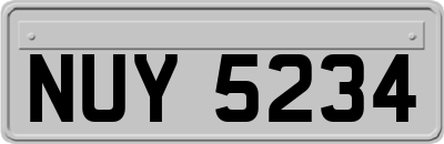 NUY5234