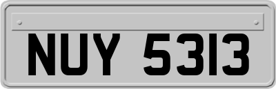 NUY5313