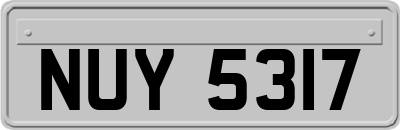 NUY5317