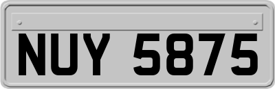 NUY5875