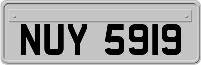 NUY5919