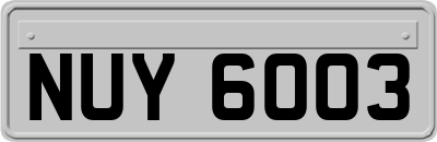 NUY6003