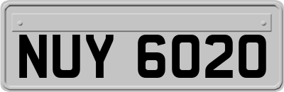 NUY6020