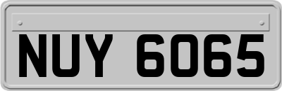 NUY6065
