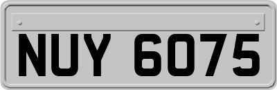 NUY6075