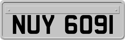 NUY6091