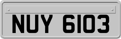 NUY6103