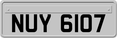 NUY6107