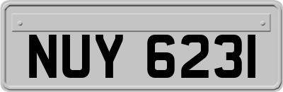 NUY6231