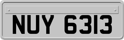 NUY6313