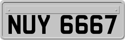 NUY6667