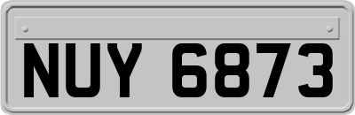 NUY6873