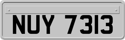 NUY7313