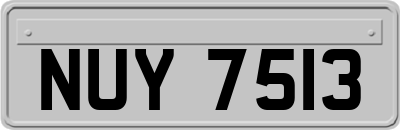 NUY7513