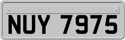 NUY7975