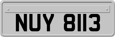 NUY8113