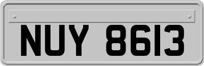 NUY8613